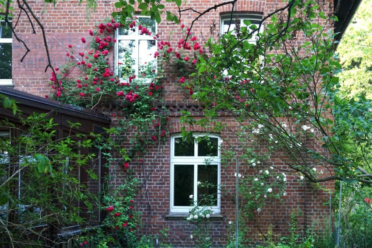 Ferienhof Moeltgen Bosau Buitenkant foto